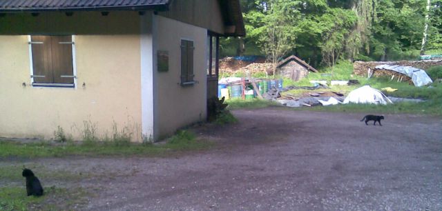 Bild041.jpg