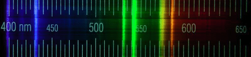 DSC02590-pob.gif