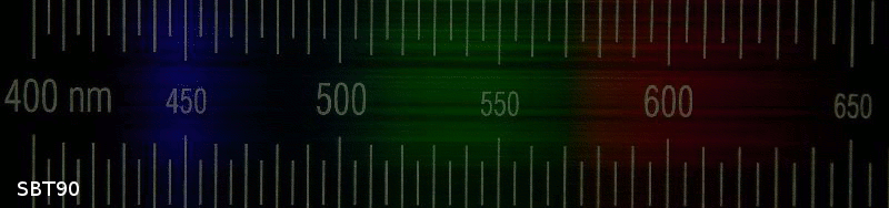 DSC02596-xml-sbt90.gif