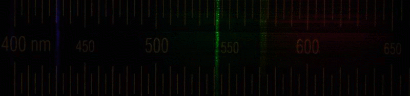 DSC02598-uhp.gif